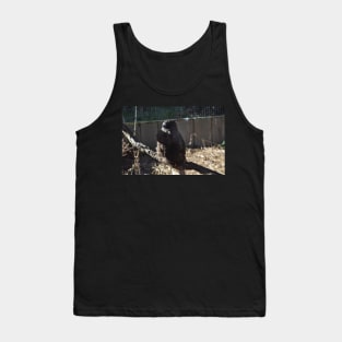 Hawk Tank Top